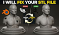do stl file repair fix stl file modification edit 3d scan cleanup optimize stl