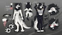 draw high quality fury ref sheet, anthro ref sheet, nsfw ref sheet, fursona, oc