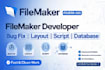 develop and fix your filemaker database