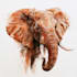 create realistic animal illustration