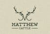 create a western vintage rodeo, horse logo