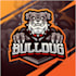 design high quality modern bulldog logo
