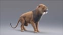 create 3d animal animation, 3d cgi animal, 3d design, animal animation, 3d model