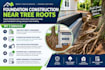 create foundation construction plans near tree roots and tree protection reports