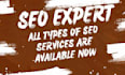 be your local seo expert