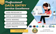 do data entry, data mining, and data cleaning in excel and google sheets