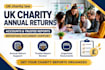 draft UK charity constitutions and governing documents