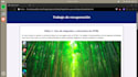 se realizan paginas web