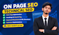 provide complete on page SEO and technical optimization to rank
