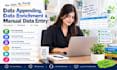 do data appending, data enrichment, and manual data entry