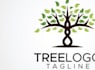 design modern tree logo