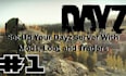 set up your dayz server with mods, loot and traders
