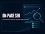 website audit,on page seo