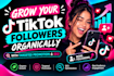 optimize your USA tiktok account for creator rewards monetization