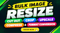 do bulk image resize,cut out, crop, upscale, compress,and format conversion