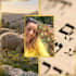teach you biblical hebrew through conversation
