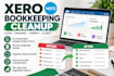 clean up messy xero bookkeeping and correct transaction errors