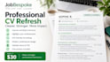 professionally improve your CV or resume