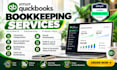handle quickbooks bookkeeping, cleanup and reconciliation
