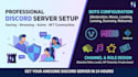 setup professional discord server with bots and roles
