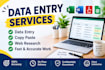 do accurate data entry, copy paste and excel data entry