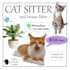 flyer, poster, infographic, etc design