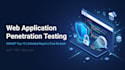 penetration test your web application for owasp top 10 vulnerabilities