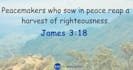 do bible verse design and template
