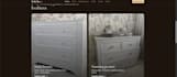 design and develop proffesional websites