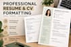 professionally format and improve your resume or CV