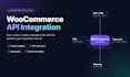 woocommerce API integrations and custom plugins
