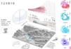 landscape rendering, landscape modeling