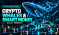 analyze smart money wallets crypto whales and on chain activity