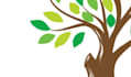 design modern tree logo