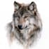 draw detail animal illustration