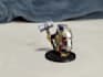 paint your miniatures to tabletop standard