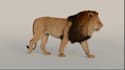 create realistic 3d animal animation, cgi creatures, fur, and character models