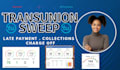 do prefessional DIY credit sweep support transunion sweep in 24 hours