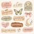create a cute and aesthetic designs