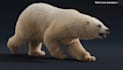 create 3d animal models rig, animation creature fur cgi vfx for film and game