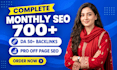 provide monthly SEO package with contextual backlinks