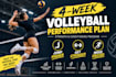 create a fitness pan for professional volleyball player