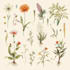 design custom botanical illustrations for flowers and plants