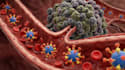 create 3d medical animation and medical explainer videos