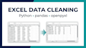 clean format and automate excel data using python