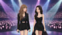 custom webtoon and manhwa