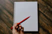 give detailed developmental feedback on your novel