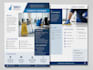 design a professional government contract capability statement