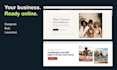 design and launch a professional small business website