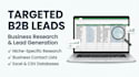 create targeted niche b2b leads and business databases